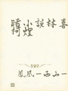 赌小说林喜朝和柯煜