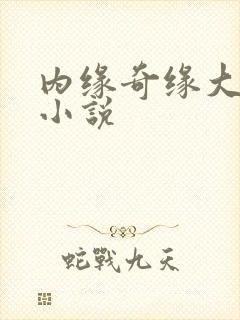 内缘奇缘大团圆小说
