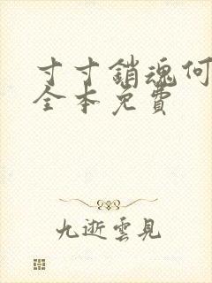 寸寸销魂何生祥全本免费