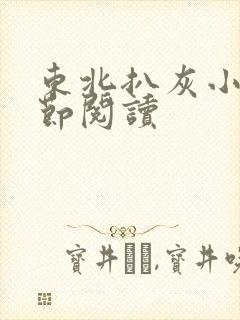 东北扒灰小说分节阅读