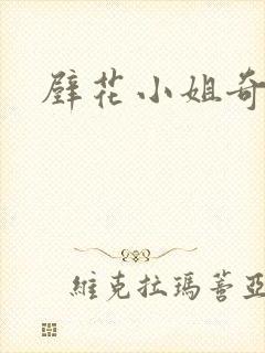 壁花小姐奇遇记