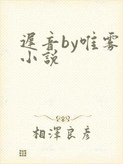 迟音by唯雾的小说