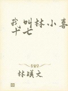 我叫林小喜今年十七