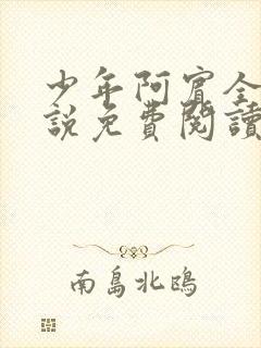 少年阿宾全文小说免费阅读笔趣阁