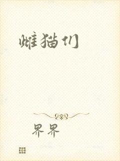 雌猫们