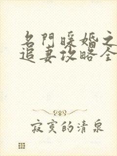 名门暖婚之权爷追妻攻略全文免费阅读