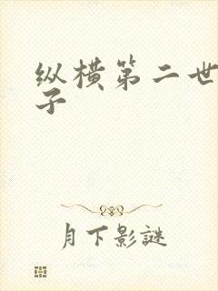 纵横第二世界宽子