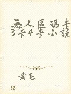 无人区码卡二卡3卡4卡小说