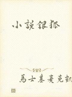 小说银狐