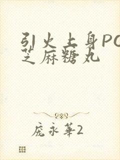 引火上身POP芝麻糖丸