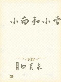 小白和小雪