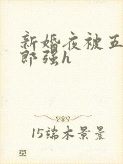 新婚夜被五个伴郎强h