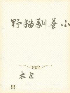 野猫驯养小说