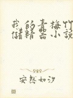 我的青梅竹马是储精器小说