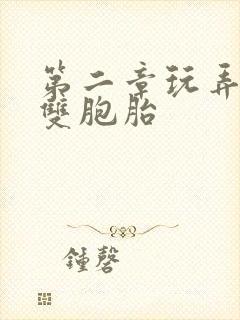 第二章玩弄少妇双胞胎