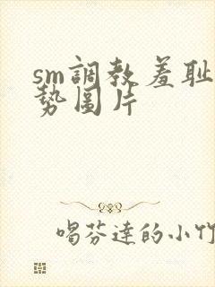 sm调教羞耻姿势图片