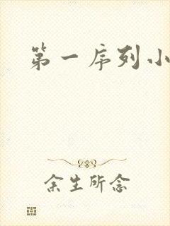 第一序列小说