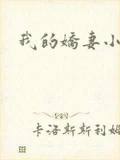 我的娇妻小说