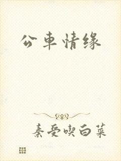 公车情缘