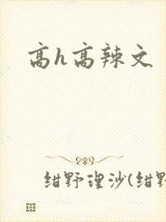 高h高辣文