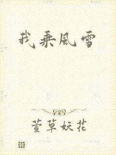 我乘风雪