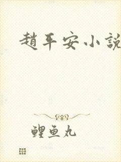 赵平安小说主角