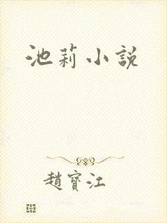池莉小说