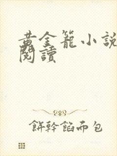 黄金笼小说免费阅读