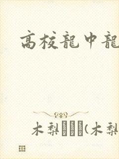 高校龙中龙