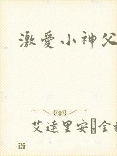 激爱小神父