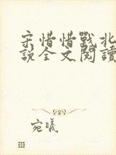 宋惜惜战北望小说全文阅读