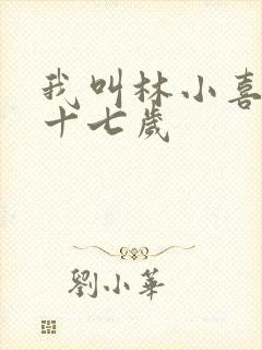 我叫林小喜今年十七岁