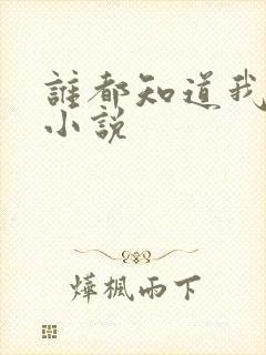 谁都知道我爱你小说