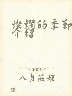 灿烂的季节剧情介绍