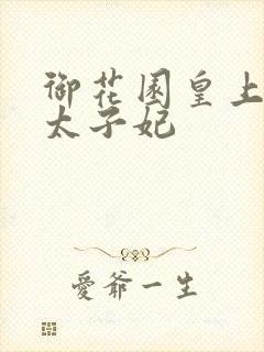 御花园皇上撞着太子妃