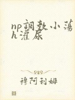 np调教小荡货h灌尿