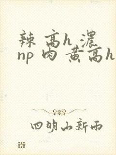 辣 高h 浓 np 肉 黄高h