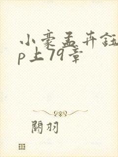 小豪孟卉钰慧三p上79章