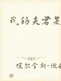 我的夫君是冥王