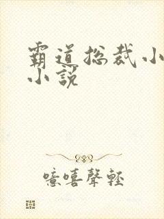 霸道总裁小娇妻小说