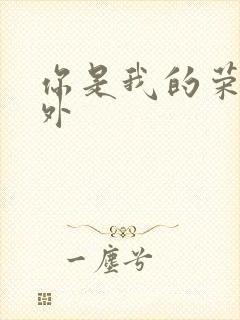 你是我的荣耀番外