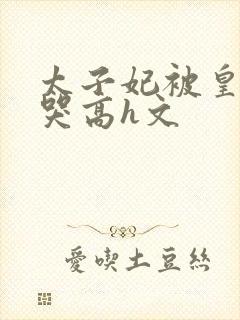 太子妃被皇上c哭高h文