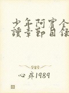 少年阿宾全文阅读章节目录