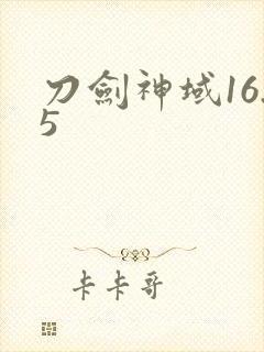 刀剑神域16.5