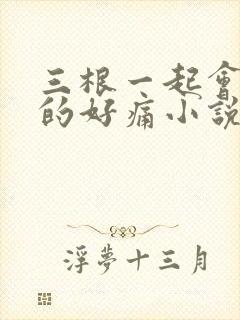 三根一起会坏掉的好痛小说