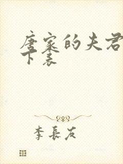 唐家的夫君们帘下衾