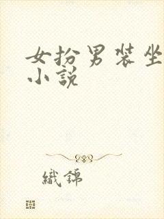 女扮男装坐江山小说