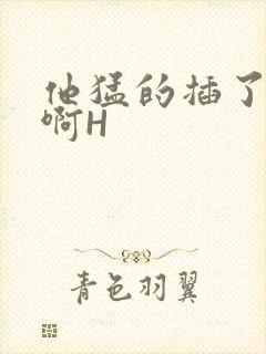 他猛的插了进去啊H