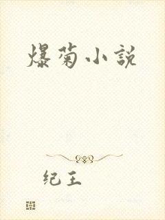 爆菊小说