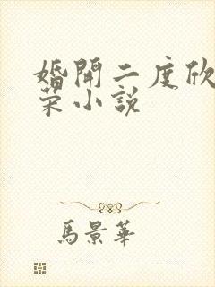婚开二度欣欣向荣小说